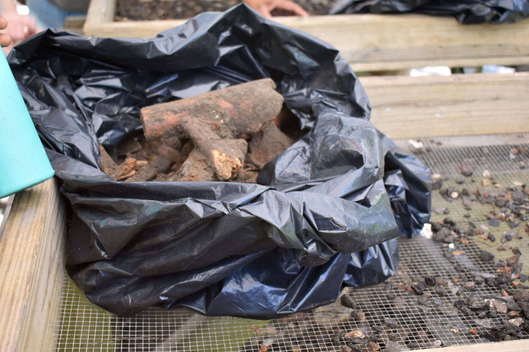 Cow bones in a bag